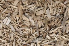 biomass boilers Coberley
