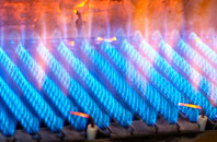 Coberley gas fired boilers